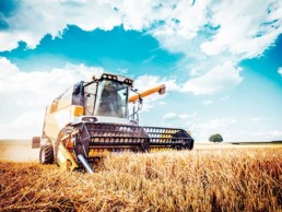 Agriculture
